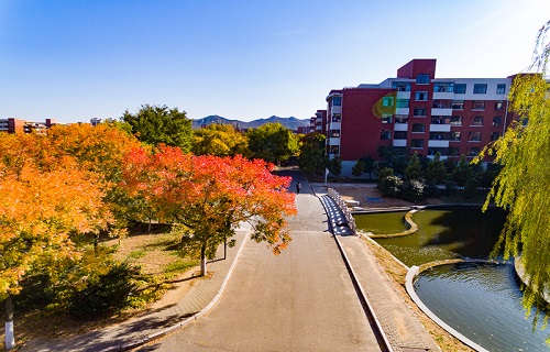 山東科技大學自考