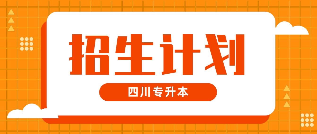 2022年四川專升本成都大學(xué)招生專業(yè)及計劃