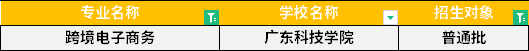 2022年廣東專升本跨境電子商務專業(yè)招生學校