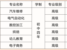 河南經(jīng)濟(jì)貿(mào)易技師學(xué)院專(zhuān)業(yè)