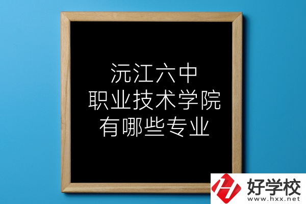 湖南沅江六中職業(yè)技術(shù)學(xué)院有哪些專業(yè)？