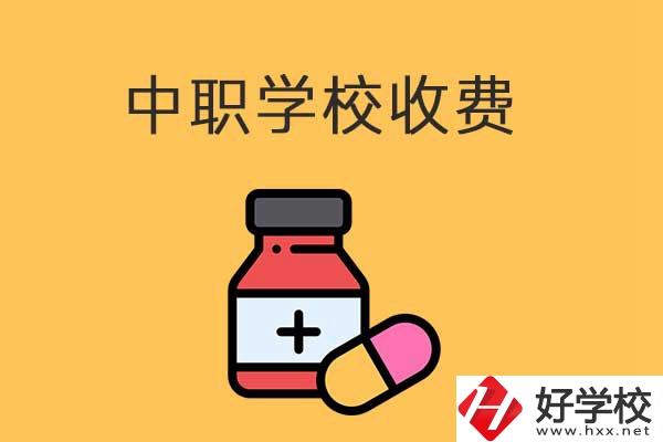 衡陽的中職學(xué)校怎么收費的？費用貴不貴？