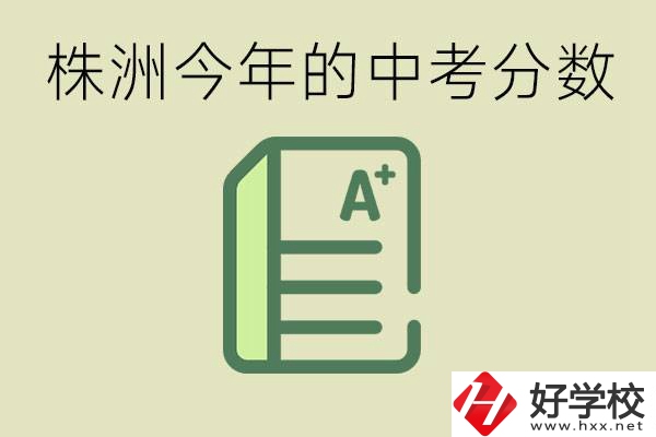 株洲今年中考多少分能上高中？沒考上有什么選擇？