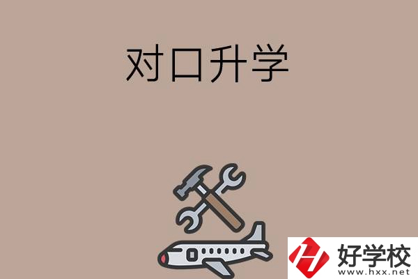 職高學(xué)生參加湖南省對口升學(xué)，有什么本科可以報考？