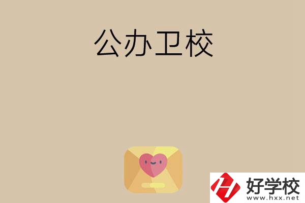 想在湖南上公辦衛(wèi)校？這所學(xué)校值得一看