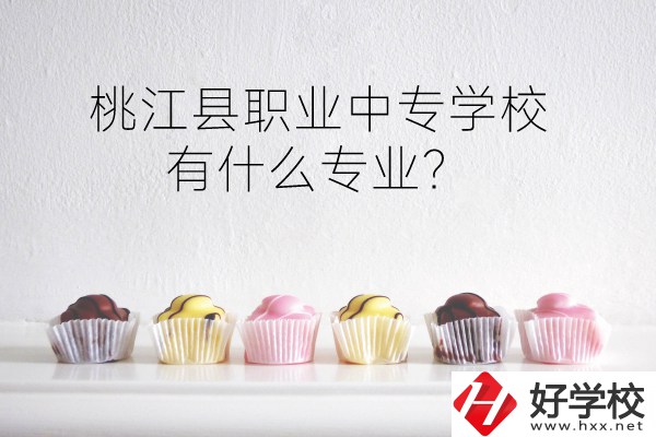 桃江縣職業(yè)中專學(xué)校到底好不好？有什么專業(yè)？