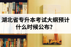 湖北省專升本考試大綱預計什么時候公布？現(xiàn)階段怎么備考比較好？