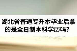 湖北省普通專升本畢業(yè)后拿的是全日制本科學(xué)歷嗎？