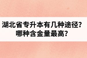 湖北省專(zhuān)升本有幾種途徑？哪種含金量最高？