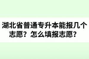 湖北省普通專升本能報幾個志愿？怎么填報志愿？