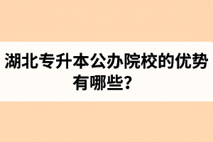 湖北專升本公辦院校的優(yōu)勢(shì)有哪些？為什么大家都想報(bào)公辦學(xué)校？