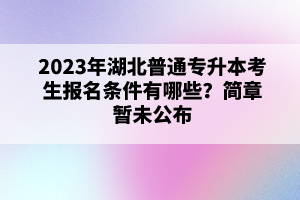 2023年湖北普通專升本考生報(bào)名條件有哪些？簡章暫未公布