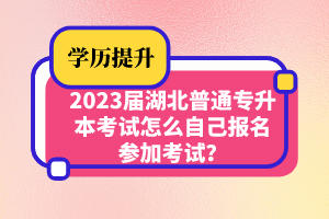 2023屆湖北普通專升本考試怎么自己報(bào)名參加考試？