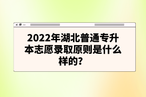 2022年湖北普通專升本志愿錄取原則是什么樣的？