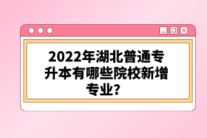 2022年湖北普通專升本有哪些院校新增專業(yè)？