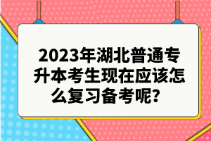 2023年湖北普通專升本考生現(xiàn)在應(yīng)該怎么復(fù)習(xí)備考呢？