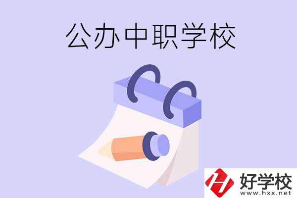 湖南公辦中職學(xué)校有哪些辦學(xué)規(guī)模比較大的？