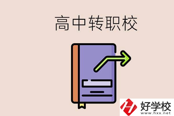 有在讀高中不想讀轉(zhuǎn)職校的例子嗎？能轉(zhuǎn)到湖南職校嗎？