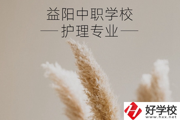 益陽護(hù)理專業(yè)的中職學(xué)校有哪些？需要哪些要求？