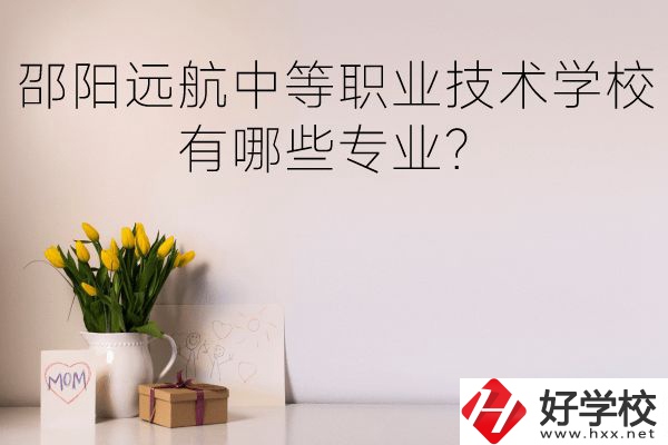 邵陽(yáng)遠(yuǎn)航中等職業(yè)技術(shù)學(xué)校有哪些專業(yè)？