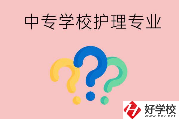 湖南的公辦中專學(xué)校哪些可以學(xué)護(hù)理專業(yè)？