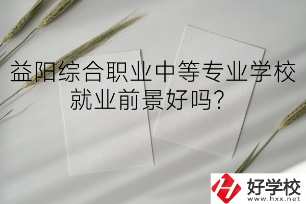 益陽綜合職業(yè)中等專業(yè)學(xué)校如何？就業(yè)前景好嗎？