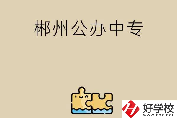 郴州公辦中專有哪些開設(shè)了電子商務(wù)專業(yè)？