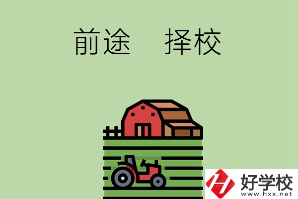 在長(zhǎng)沙讀中職學(xué)校有前途嗎，如何擇校？