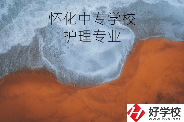 懷化有學(xué)護理專業(yè)的中專學(xué)校嗎？