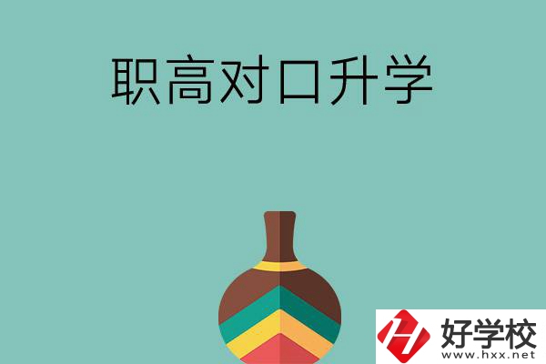 湖南職高對(duì)口升學(xué)可以考哪些大專？