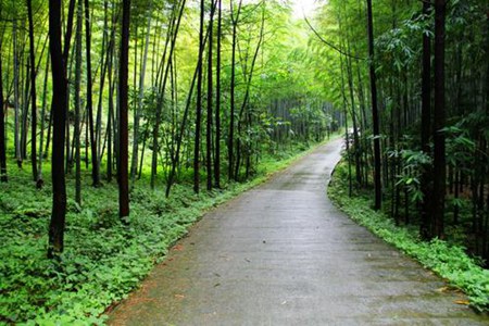 長寧縣梅硐職業(yè)中學(xué)校