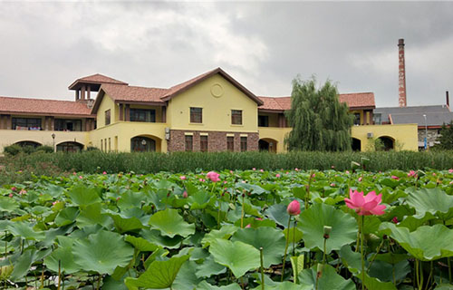 合作市職業(yè)中學(xué)