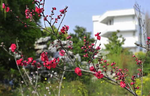 邳州車輻職業(yè)中學(xué)