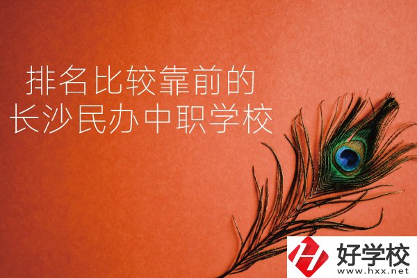 長沙哪些民辦中職學(xué)校排名比較靠前？