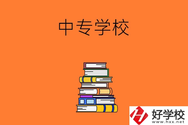 懷化市有哪些公立的中專學(xué)校？