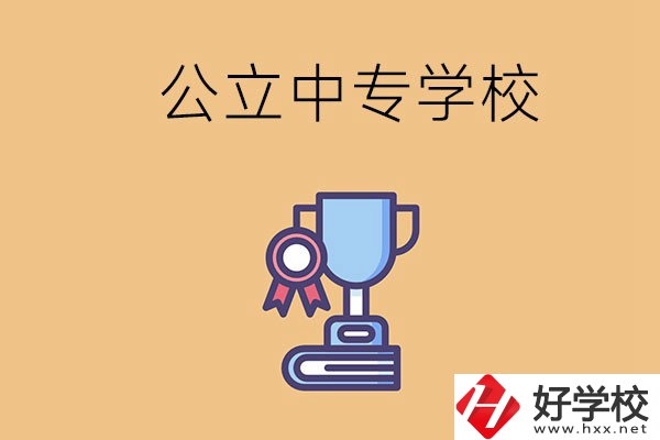 常德的公立中專學(xué)校有哪些？有什么特色？