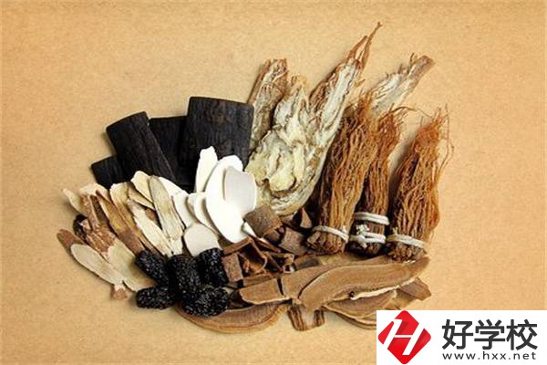 在湘西學(xué)中草藥栽培怎么樣？開設(shè)此專業(yè)的學(xué)校有哪些？