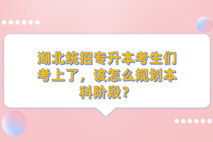 湖北統(tǒng)招專升本考生們考上了，該怎么規(guī)劃本科階段？