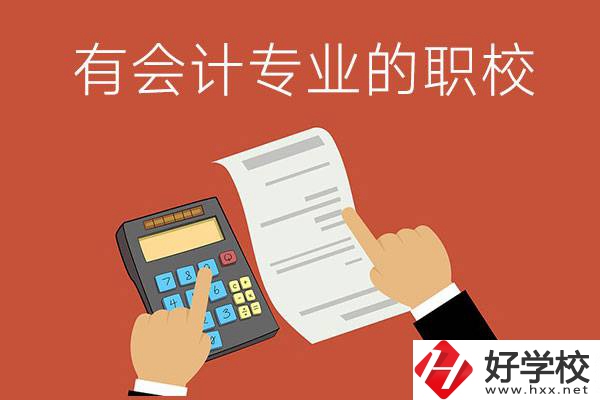 株洲哪些公立職校有會計專業(yè)？