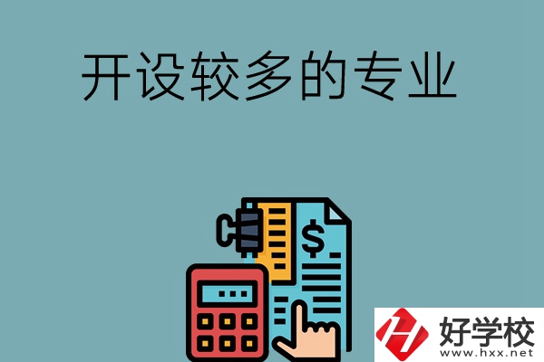 湖南的中職學(xué)校開設(shè)較多的專業(yè)是哪些？