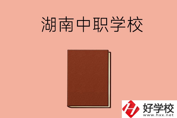 湖南有哪些就業(yè)率比較高的中職學(xué)校？