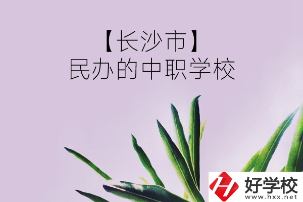 長沙市有哪些民辦的中職學(xué)校？