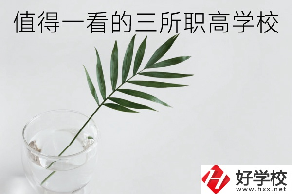 湖南有什么好的職高學(xué)校？這3所學(xué)校值得一看！