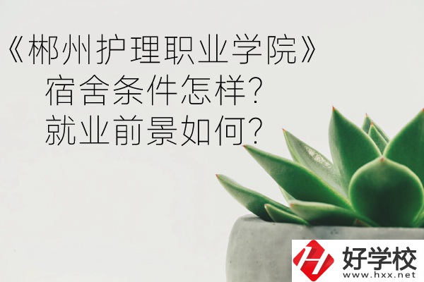 郴州護(hù)理職業(yè)學(xué)院宿舍條件怎樣？就業(yè)前景如何？