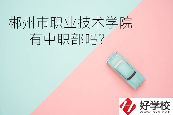 郴州市職業(yè)技術學院有中職部嗎？