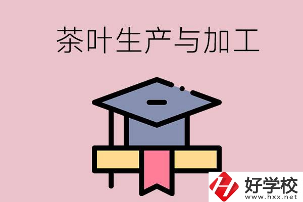 湖南哪些技校開設(shè)了茶葉生產(chǎn)與加工專業(yè)？