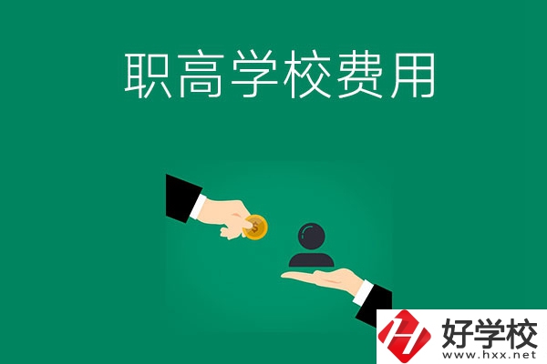 上懷化的公立職高學(xué)校要多少費(fèi)用？