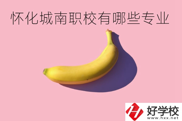 懷化城南職業(yè)學(xué)校有哪些專業(yè)？學(xué)校好不好？