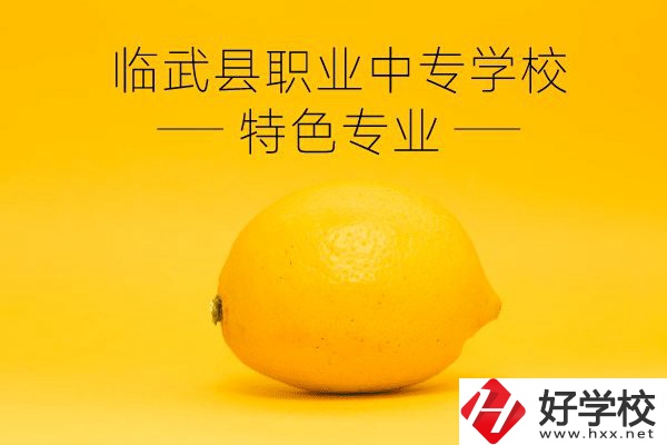 臨武縣職業(yè)中專學校好嗎？有哪些特色專業(yè)？