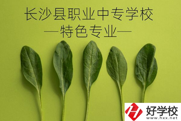 長沙縣職業(yè)中專學(xué)校怎么樣？有什么特色專業(yè)？